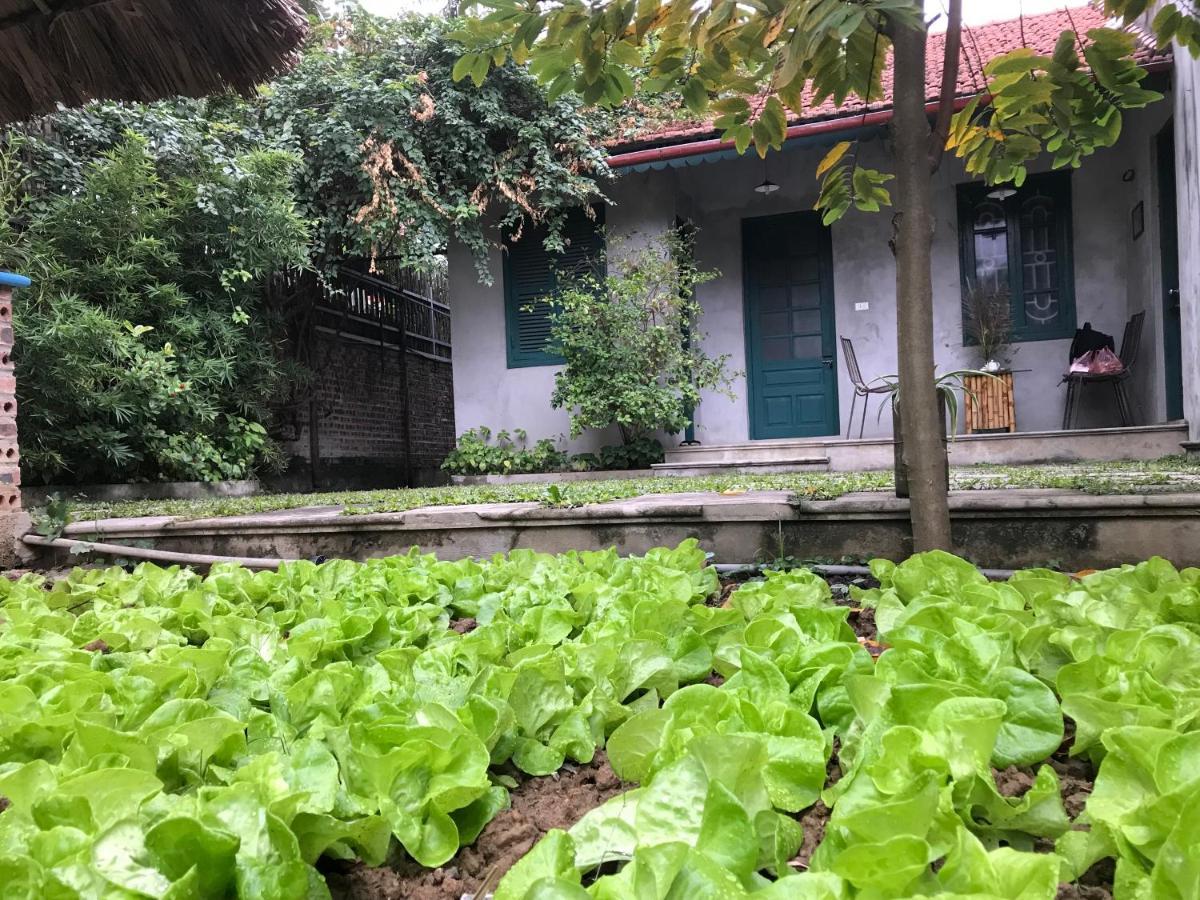 坦克艾可度假屋 宁平 外观 照片