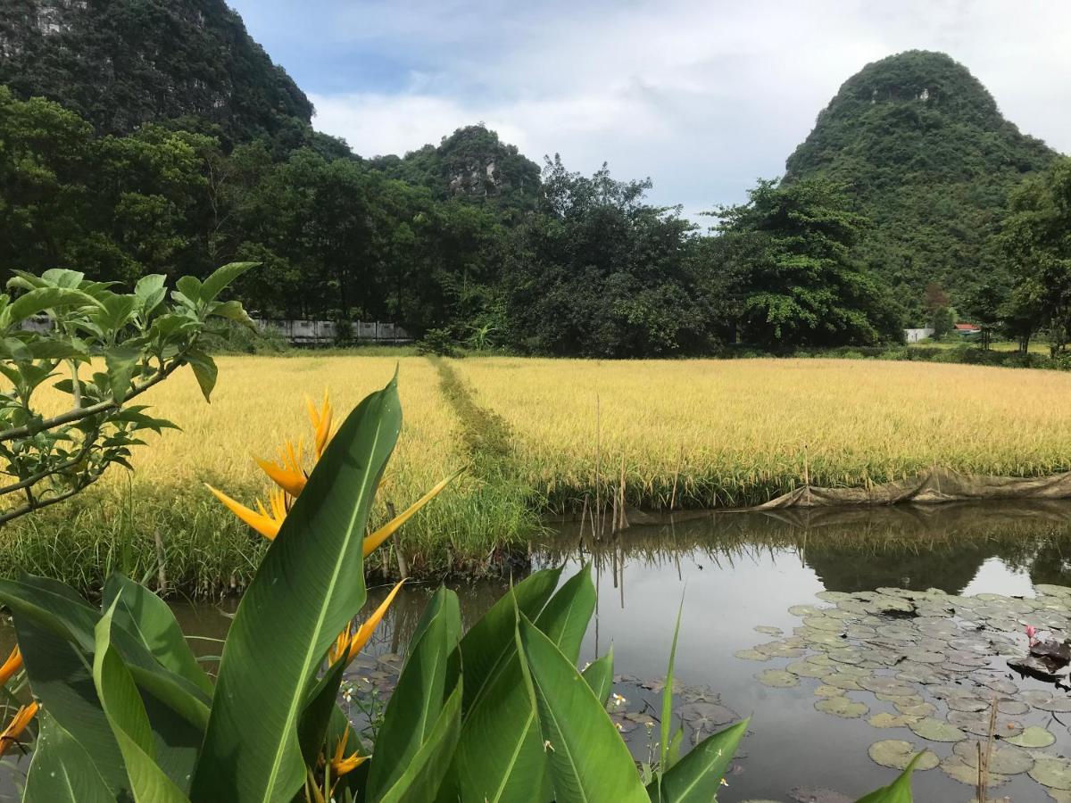 坦克艾可度假屋 宁平 外观 照片